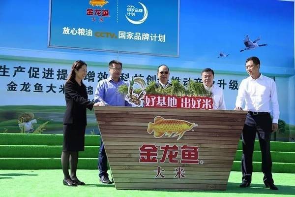 青島得采水族科技有限公司（青島得采水族科技有限公司怎么樣）