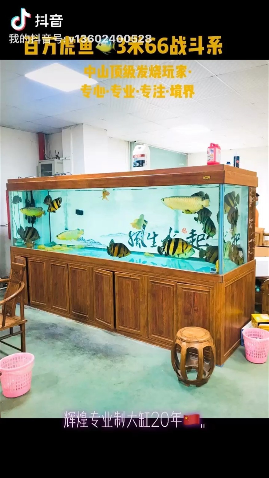 百萬虎魚3米66戰斗系統 百萬虎魚3米66戰斗系統 虎魚百科