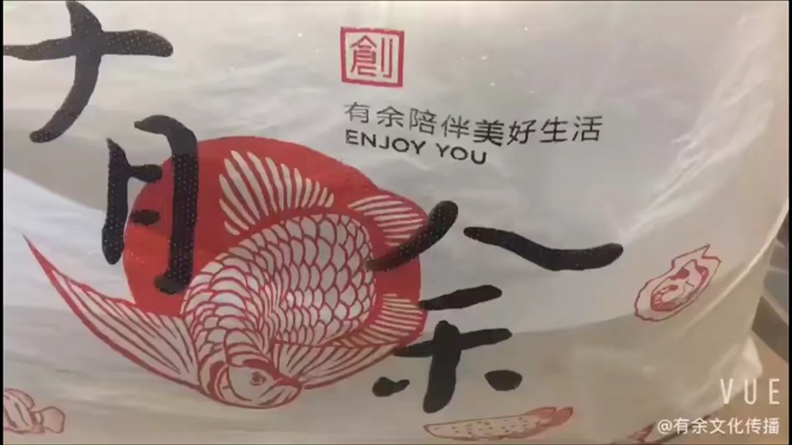 小虎魚(yú)又離家出走了
