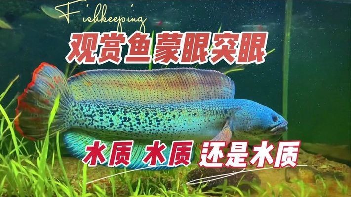 深圳前海灃沄投資管理有限公司（深圳前海溋灃資本管理有限公司）