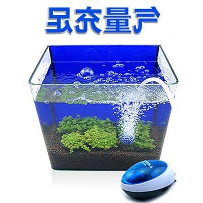 大連中山公園購物廣場百魚亭水族店（大連中山公園購物廣場百魚亭水族店