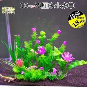 銀龍魚的養(yǎng)法和注意事項有哪些（銀龍魚的養(yǎng)法和注意事項有哪些呢）