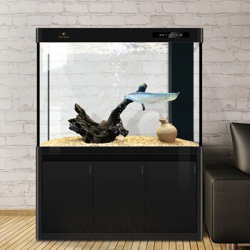 民勤縣森森水族館（民勤縣森森水族館 民勤縣森森水族館（民勤縣森森水族館 全國水族館企業名錄 第1張