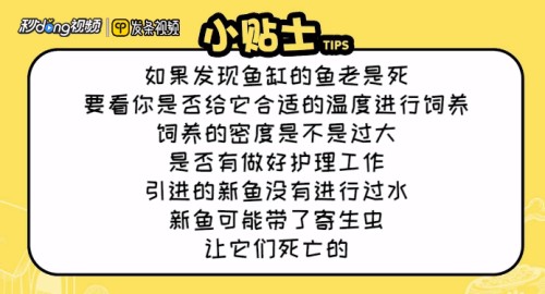 青島市市北區魚苑水族商店（青島市市北區魚苑水族商店地址）