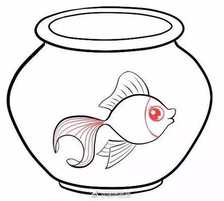 銀龍魚可以吃什么肉（銀龍魚可以吃什么肉類）
