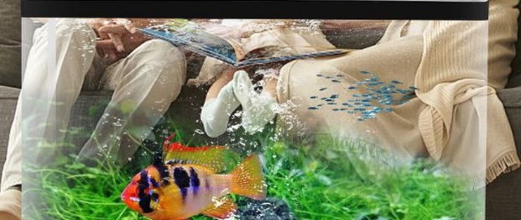 平川區(qū)育才路龍海水族經(jīng)銷部（平川水族館）