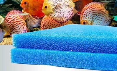 無極縣郭莊洋洋水族館（無極縣郭莊洋洋水族館電話）