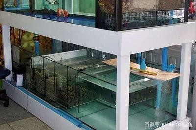 昭蘇縣漁樂世界水族館（昭蘇縣漁樂世界水族館