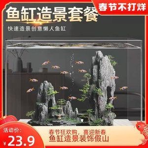 銀龍魚怎么養及喂養技巧視頻大全圖解教程（銀龍魚怎么養及喂養技巧視頻大全圖解教程）