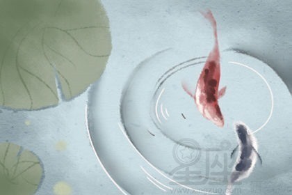 銀龍魚散尾是怎么回事兒（銀龍魚散尾是怎么回事兒?。? title=