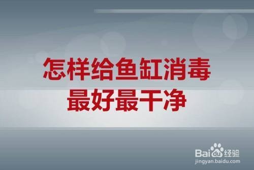 汕頭市澄海區(qū)溪南鴻源水族館（汕頭市澄海區(qū)溪南鴻源水族館電話）