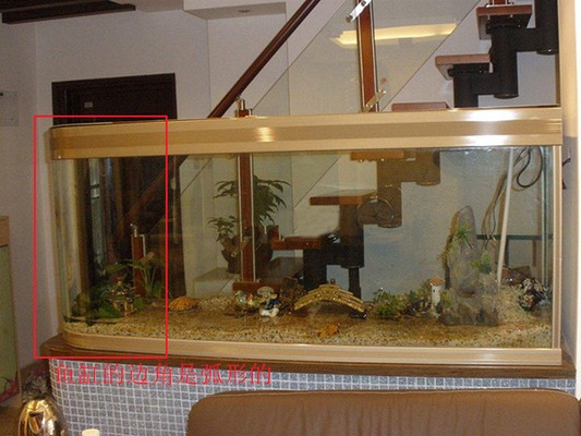 ?？邶埲A全家福水族館（?？邶埲A全家福水族館地址）