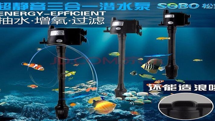銀龍魚(yú)多長(zhǎng)時(shí)間能長(zhǎng)大（銀龍魚(yú)多長(zhǎng)時(shí)間能長(zhǎng)大啊）