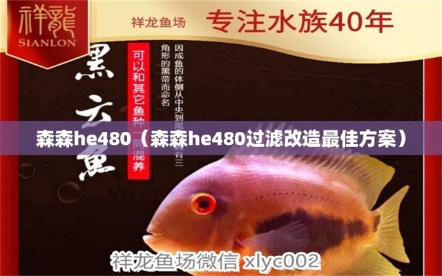 銀龍魚怎么繁殖技術好呢