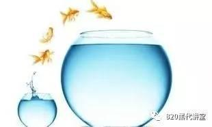 山陽縣海越水族館（山陽縣海越水族館電話）