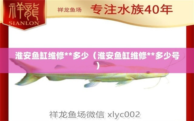 寬城區住邦購物中心小沈水族館（寬城區住邦購物中心小沈水族館怎么樣）