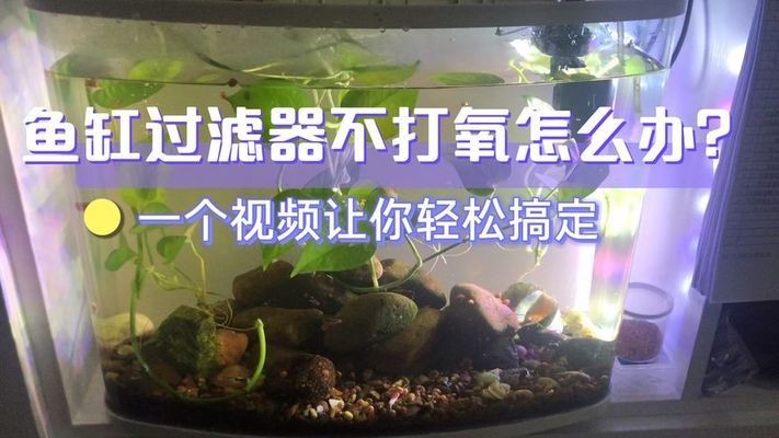 益陽市赫山區海洋水族店（益陽市赫山區海洋水族店電話）