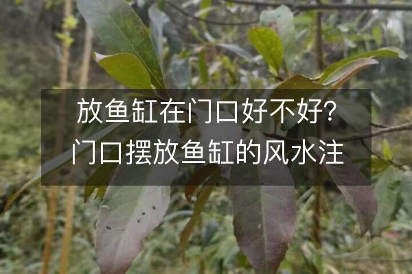 紅塔區(qū)和水苑水族館