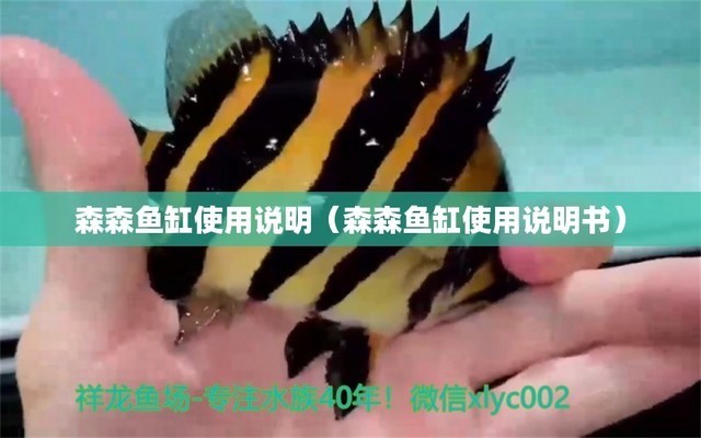 銀龍魚可以長多大多長（銀龍魚能長多大）