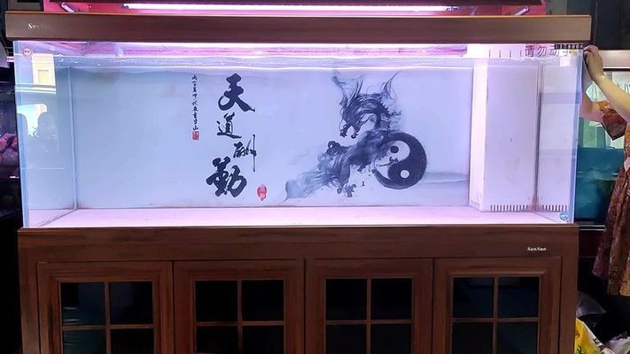敦煌市美宜家水族工作室