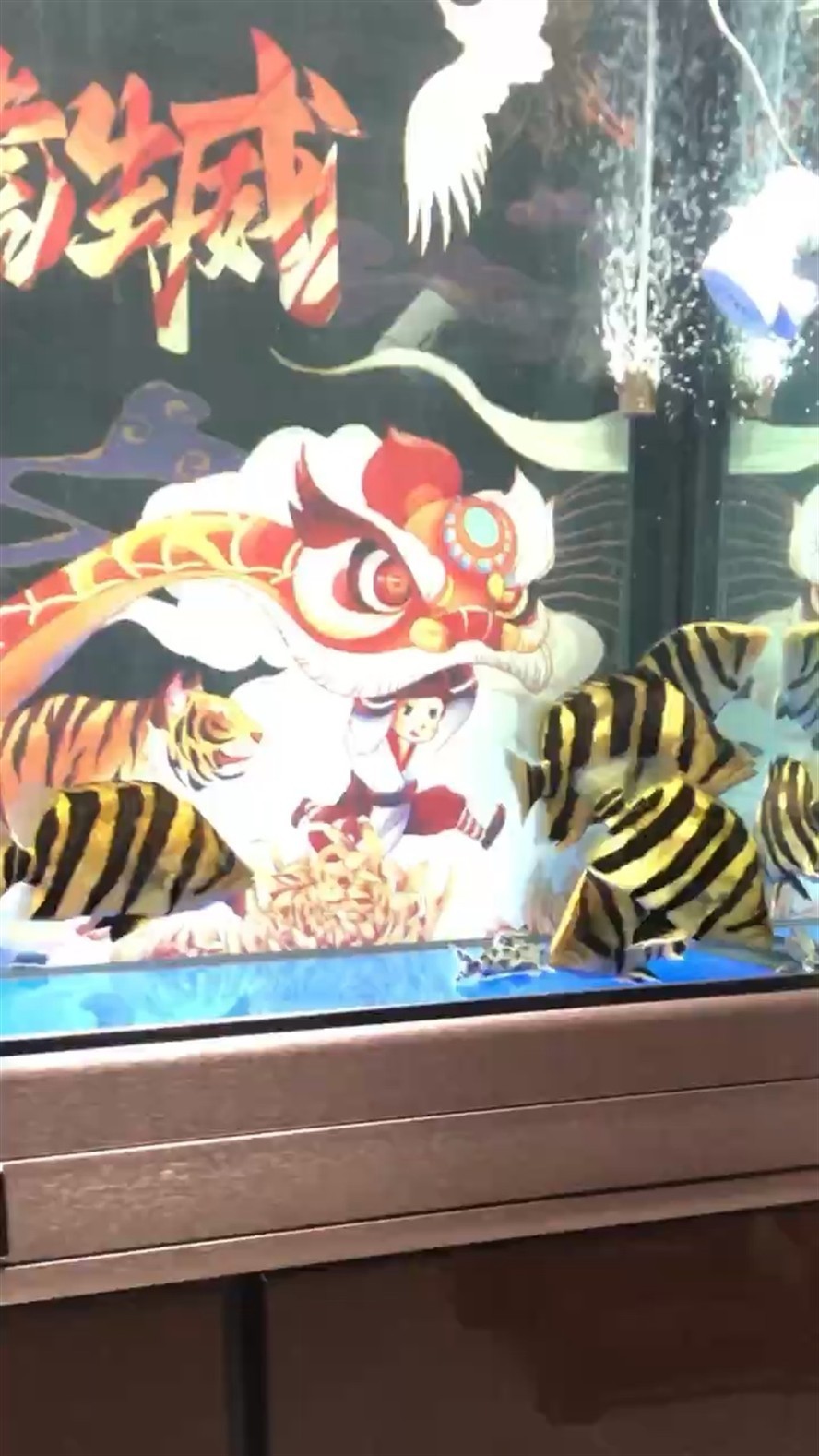 虎魚不就這么玩