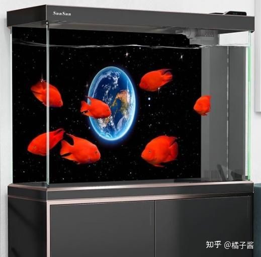 高性價比魚缸材質選擇高性價比魚缸材質的科學解讀：如何選擇高性價比的魚缸？
