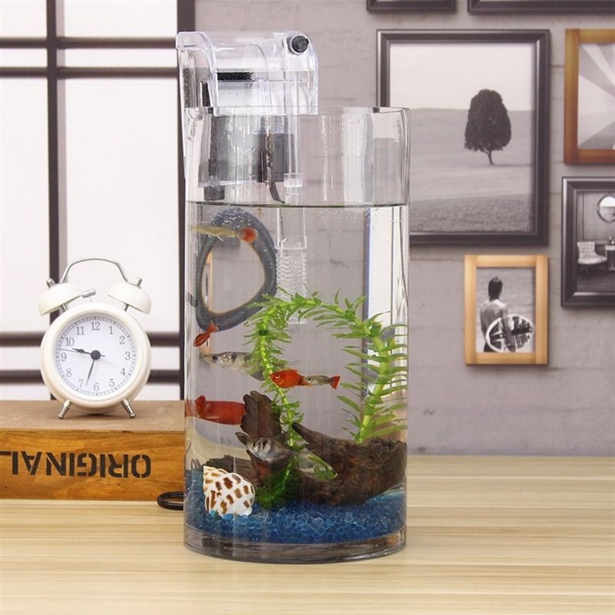 斗魚魚缸怎么布置最好：布置斗魚魚缸的方法
