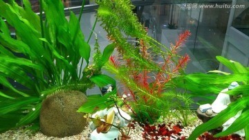 開原市佳璐水族館（開原市佳璐水族館電話）