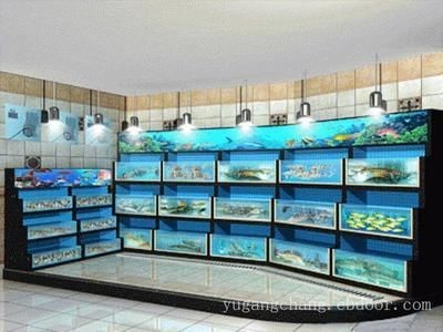 大型海水魚缸設計效果圖：大型海水魚缸設計效果圖欣賞