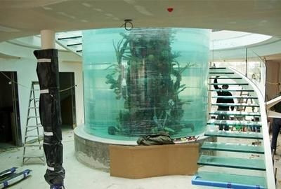 大蘇打放魚缸有什么用：大蘇打在水產養殖中的作用