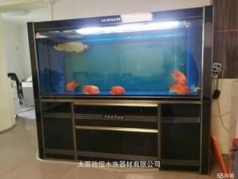 徹底清洗魚缸的小妙招視頻播放：如何徹底清洗魚缸？