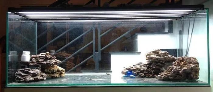紅磚魚缸造景的技術和方法：紅磚魚缸造景圖的基礎知識和技巧，紅磚魚缸造景技巧