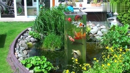 沈陽市沈北新區時尚水族館（沈陽市沈北新區時尚水族館地址）