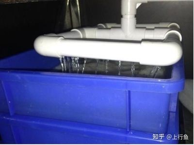 底濾魚缸下水口堵塞需要及時清理以保證魚缸的正常運行：底濾魚缸下水口堵塞是一個常見的問題需要及時清理以保證魚缸的正常運行