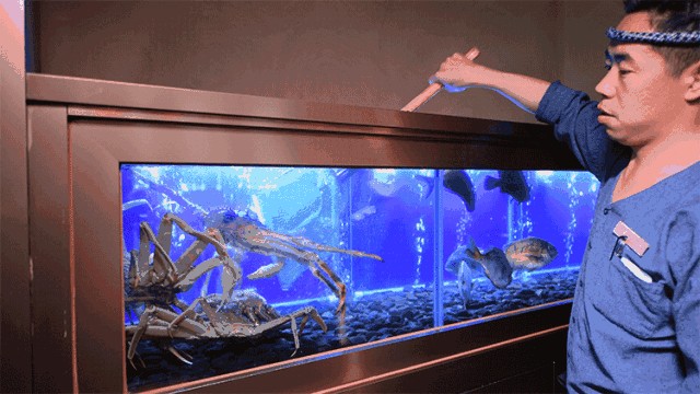 深圳魚好水族提供帝王魚缸的設計、制造、養護等服務：水族箱養護秘籍