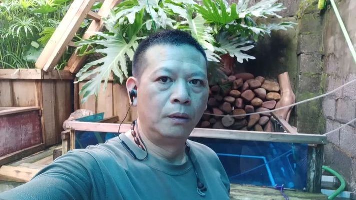 龍魚身上白色絮狀物怎么回事圖片(銀龍魚身上有白色絮狀物怎么辦)