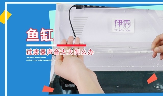 銀龍魚從魚缸跳出來(lái)還能活嗎（銀龍魚從魚缸跳出來(lái)還能活嗎視頻）