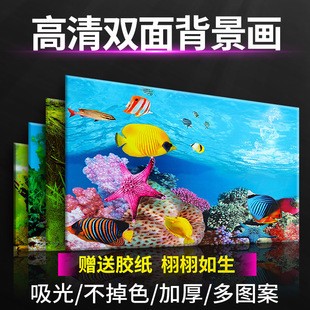 銀龍魚用什么顏色的背景帖紙比較好（銀龍魚用什么顏色的背景帖紙比較好看）