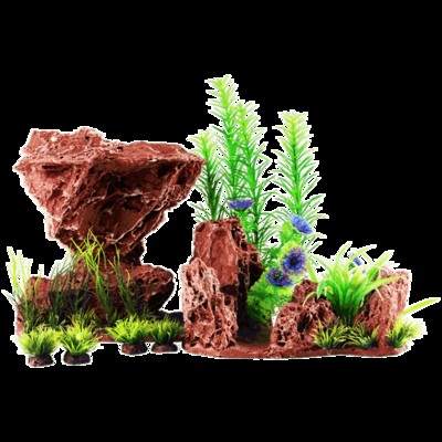 20厘米銀龍魚價格表大全(20厘米銀龍魚價格表大全)