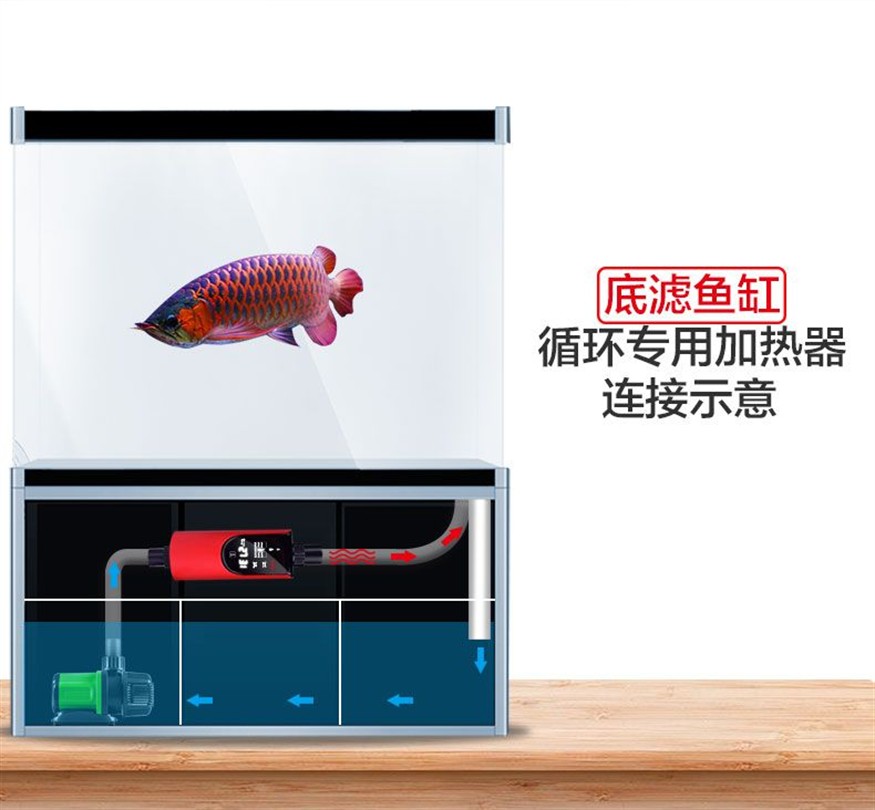 魚缸過濾系統(tǒng)的選擇指南：底濾魚缸改裝過濾桶是一種常見的水族箱改造方式和劣勢