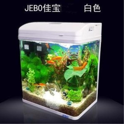 銀龍魚掉眼手術(shù)多少錢一次（銀龍魚掉眼手術(shù)多少錢一次啊）