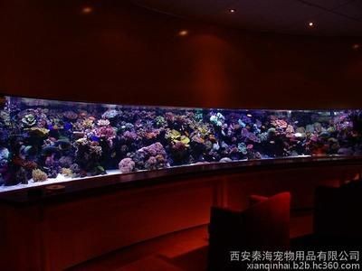 呼市最大的賣魚缸市場具體位置呼市最大的花鳥魚蟲市場：呼和浩特最大的賣魚缸的市場位置