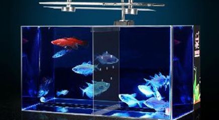 魚缸定做服務的店鋪：水族工程公司水族工程水族館：在海城提供魚缸定做服務的店鋪