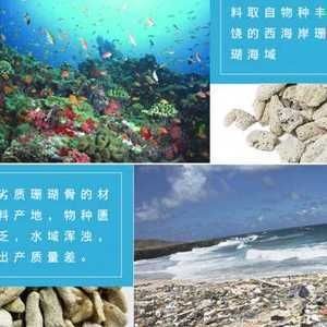 魚缸定做服務的店鋪：水族工程公司水族工程水族館：在海城提供魚缸定做服務的店鋪