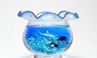 有哪些藥物可以輔助紅龍魚發(fā)色？（哪些藥物可以輔助紅龍魚發(fā)色？）
