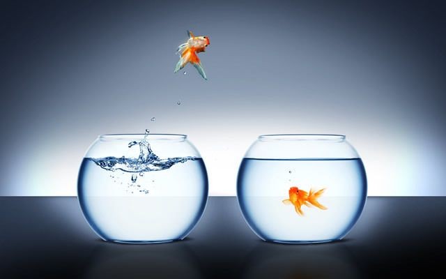 大魚缸怎么清理底部：大魚缸內(nèi)壁清理魚缸底部的清理方法：磁力刷是一種非常適合