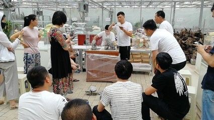 魚缸造景培訓(xùn)機(jī)構(gòu)提供不同水草造景的生長習(xí)性和繁殖技巧:廣州水草造景培訓(xùn)機(jī)構(gòu) 魚缸百科 第1張 魚缸造景培訓(xùn)機(jī)構(gòu)提供不同水草造景的生長習(xí)性和繁殖技巧:廣州水草造景培訓(xùn)機(jī)構(gòu) 魚缸造景培訓(xùn)機(jī)構(gòu)提供不同水草造景的生長習(xí)性和繁殖技巧:廣州水草造景培訓(xùn)機(jī)構(gòu) 魚缸百科 第1張