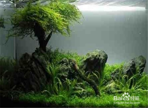 會澤蟲蟲水族館