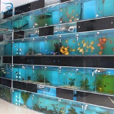 廣州魚缸廠家排名榜單：廣州魚缸制作廠家排名