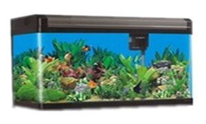 廣州博宇魚缸專賣店在哪里有